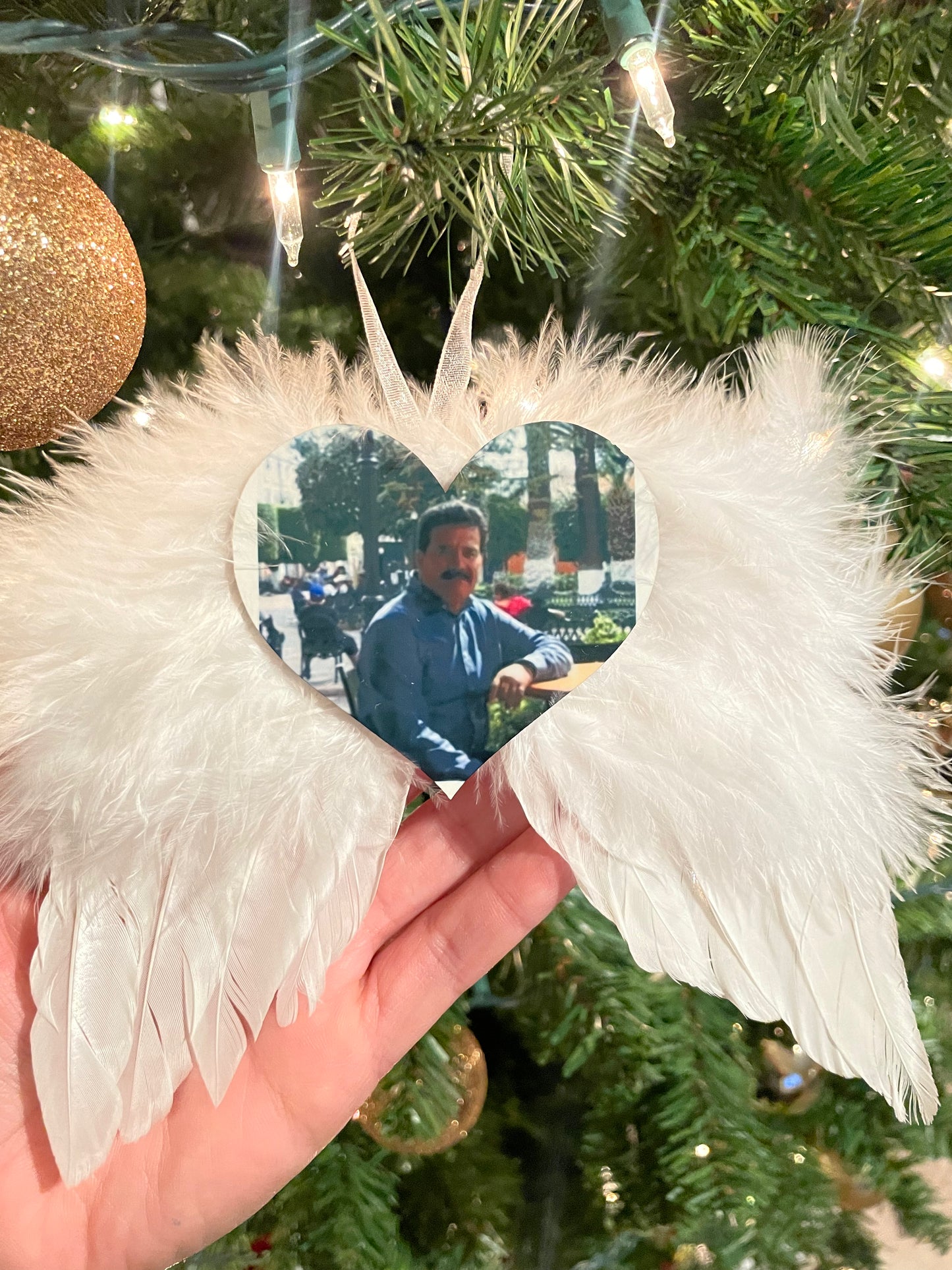 Memorial Angel wings