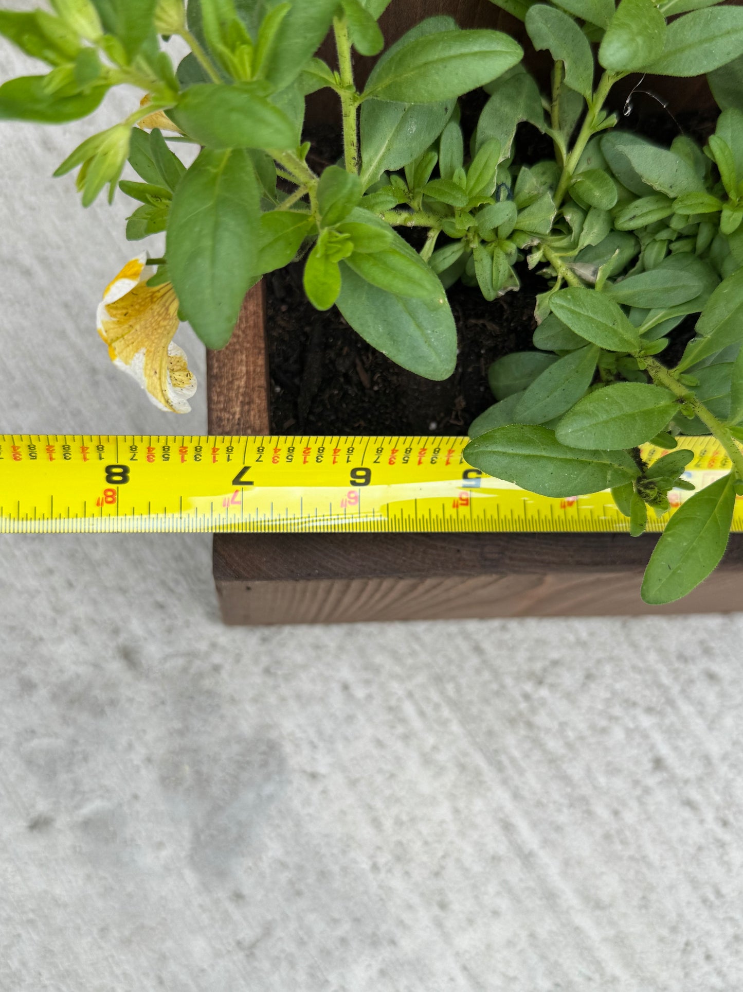 Personalized planter