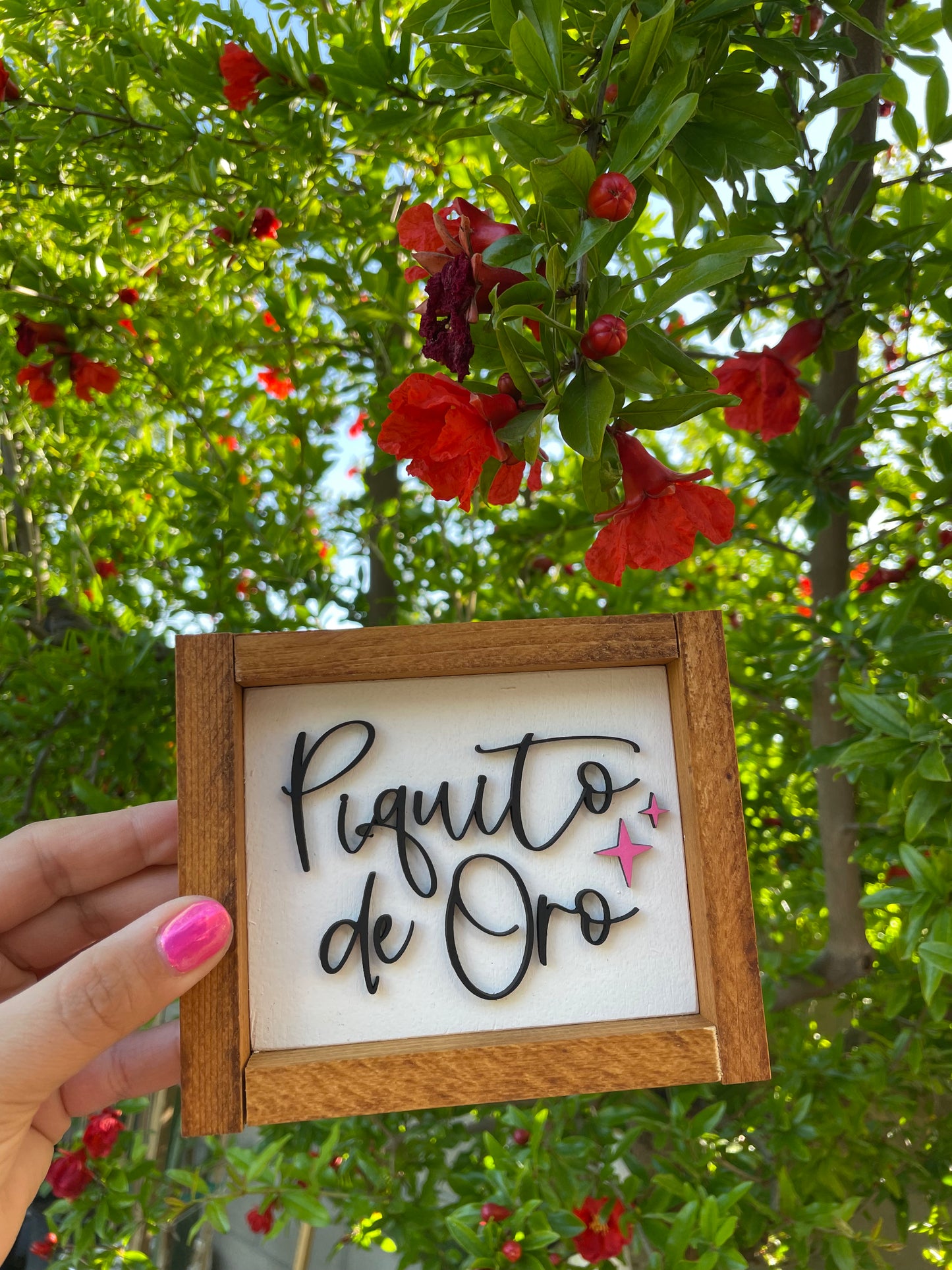 Piquito de oro