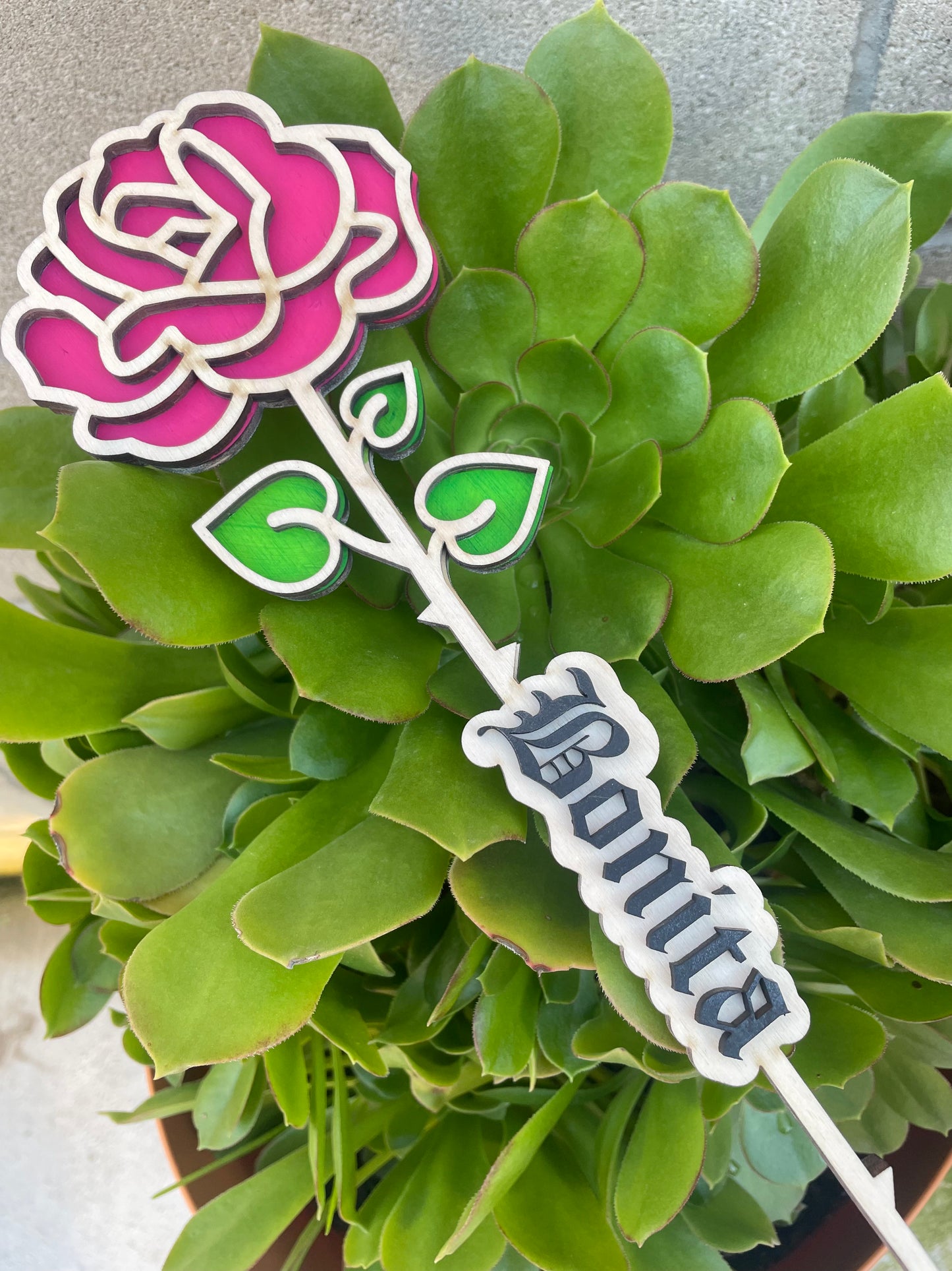 Bonita rose laser cut