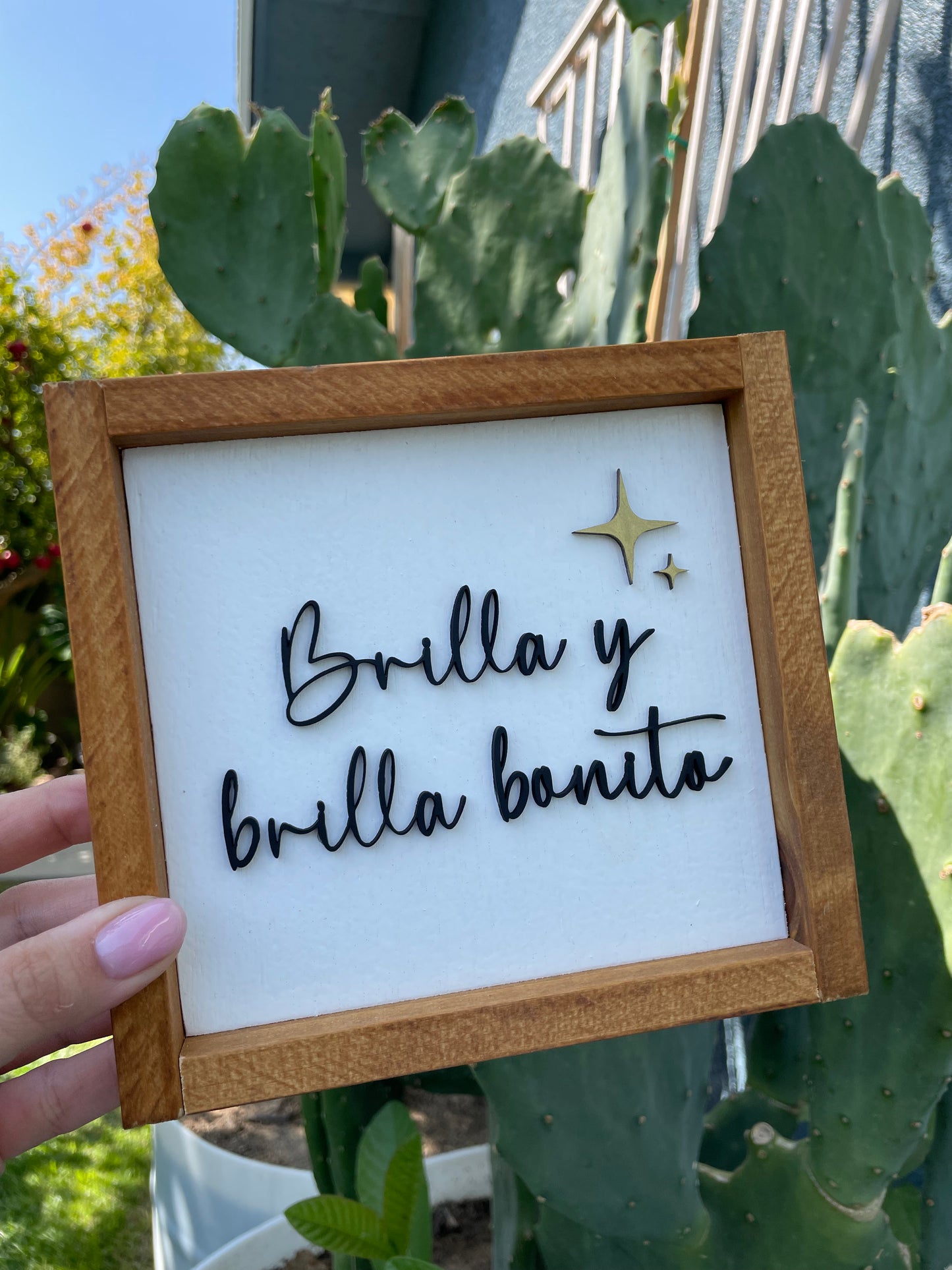 Brilla bonito